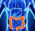 Colon